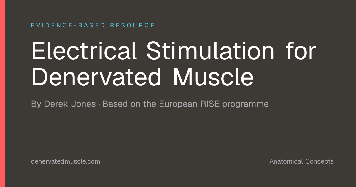 Electrical Stimulation for Denervated Muscle | Anatomical Concepts